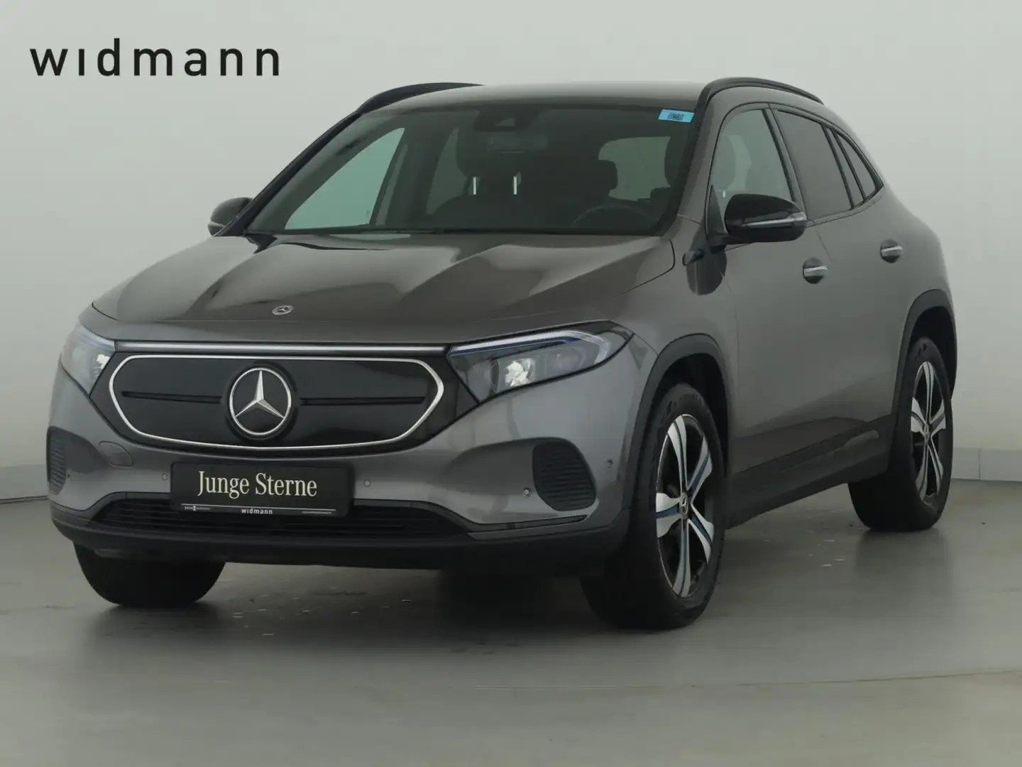 Mercedes-Benz EQA 250 Progressive*LED*PDC*Kamera*AHK*Night*DAB Grau - 1