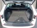 Skoda Kodiaq 2.0 TDI SCR 4x4 Ambition SC DSG Weiß - thumbnail 11