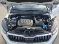 Skoda Kodiaq 2.0 TDI SCR 4x4 Ambition SC DSG Weiß - thumbnail 19