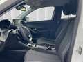 Peugeot 2008 1.2 PureTech 130 Active Pack Automatik Kame Weiß - thumbnail 9