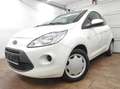 Ford Ka/Ka+ 1.2 KLIMAANLAGE 1-HAND EURO-5 TÜV 05-26 Trend Weiß - thumbnail 21