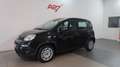Fiat Panda 1.0 FireFly S&S Hybrid #VARI COLORI# Negro - thumbnail 2