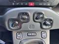 Fiat Panda 1.2 Fire 69cv S&S EasyPower City Life Blanco - thumbnail 15