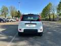 Fiat Panda 1.2 Fire 69cv S&S EasyPower City Life Blanco - thumbnail 4