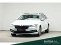 Skoda Superb Combi 2.0 TDI DSG AMBITION*PANO*KESSY*CAN Weiß - thumbnail 1
