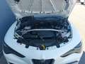 Alfa Romeo Stelvio Veloce 2.2 16V 210 AT8 Q4 Weiß - thumbnail 20