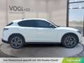 Alfa Romeo Stelvio Veloce 2.2 16V 210 AT8 Q4 Weiß - thumbnail 8