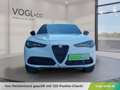 Alfa Romeo Stelvio Veloce 2.2 16V 210 AT8 Q4 Weiß - thumbnail 6