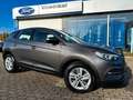 Opel Grandland X Edition Navi+LED+PDC+DAB+Allwrr Gris - thumbnail 1