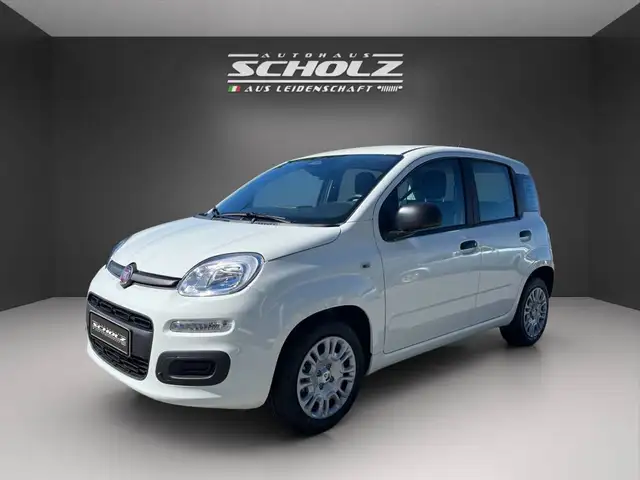 Fiat Pandina MY26 Pandina POP Hybrid 1.0 GSE 48kw 65PS