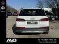Audi Q7 Q7 50 3.0 TDI Pano RFK Distronic HuD SoundSys Weiß - thumbnail 5
