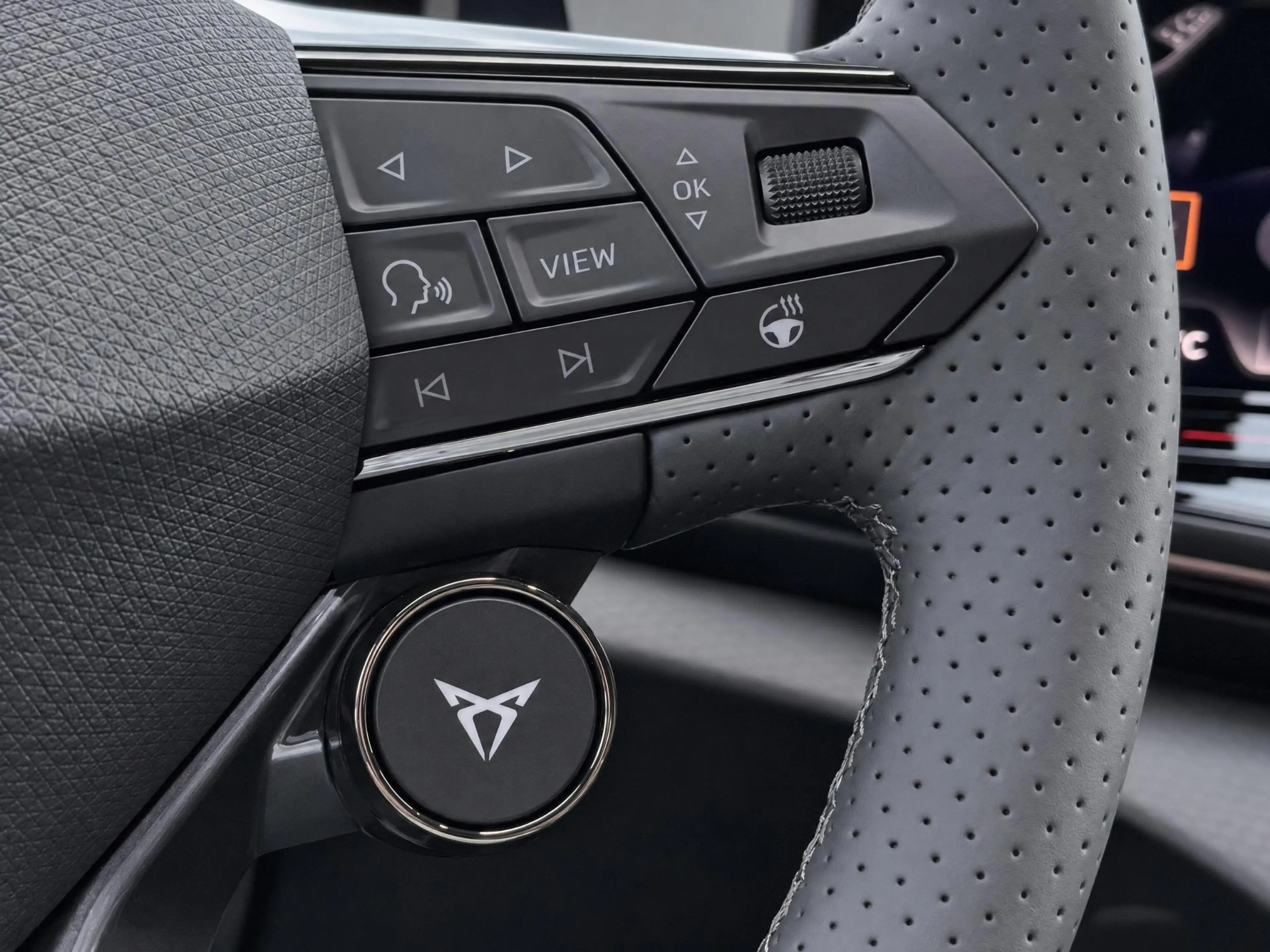 CUPRA Tavascan Adrenaline 82 kWh 286 PK l Panoramadak l 21" Katla — photo 14