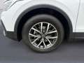 Volkswagen Tiguan Life 1.5 TSI OPF DSG NAVI / ACC / APP CONNE Weiß - thumbnail 14