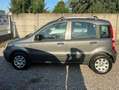 Fiat Panda Panda 1.2 Dynamic 69cv E5 Gris - thumbnail 4