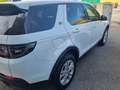 Land Rover Discovery Sport 2.0d td4 mhev S awd 180cv auto Bianco - thumbnail 5