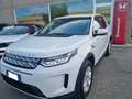 Land Rover Discovery Sport 2.0d td4 mhev S awd 180cv auto Bianco - thumbnail 1