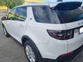 Land Rover Discovery Sport 2.0d td4 mhev S awd 180cv auto Bianco - thumbnail 6