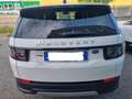 Land Rover Discovery Sport 2.0d td4 mhev S awd 180cv auto Bianco - thumbnail 4