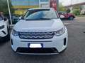 Land Rover Discovery Sport 2.0d td4 mhev S awd 180cv auto Bianco - thumbnail 3