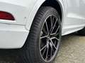 Audi Q3 1.4 TFSI S-Line Black Pakket Camera Xenon Cruise Wit - thumbnail 10