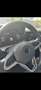 Volkswagen Golf Basis Grau - thumbnail 7