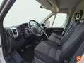 Fiat Ducato 35 L2H2 Nat.Pow100kW EU6 Dtemp GNC Blanco - thumbnail 10