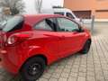 Ford Ka/Ka+ Trend Top Gepflegt Rot - thumbnail 4