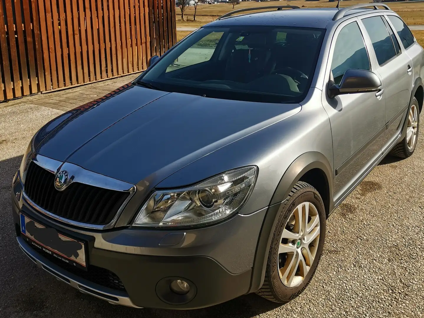 Skoda Octavia Octavia Combi Ambition 2,0 TDI CR DPF 4x4 Ambition Grau - 1