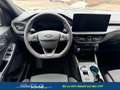 Ford Kuga 2.5 Line X FHEV AWD 134 kW (182 PS), Automatik,... Grau - thumbnail 9