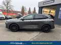Ford Kuga 2.5 Line X FHEV AWD 134 kW (182 PS), Automatik,... Grau - thumbnail 2