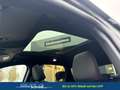 Ford Kuga 2.5 Line X FHEV AWD 134 kW (182 PS), Automatik,... Grau - thumbnail 13