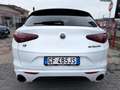 Alfa Romeo Stelvio Stelvio 2.2 Turbodiesel 210 CV AT8 Q4 Veloce Bianco - thumbnail 6