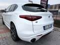 Alfa Romeo Stelvio Stelvio 2.2 Turbodiesel 210 CV AT8 Q4 Veloce Bianco - thumbnail 5