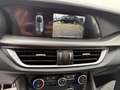 Alfa Romeo Stelvio Stelvio 2.2 Turbodiesel 210 CV AT8 Q4 Veloce Bianco - thumbnail 14