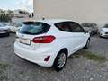 Ford Fiesta 1.5 TDCi 3-trg./1.Hand/Klima Weiß - thumbnail 6
