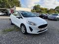 Ford Fiesta 1.5 TDCi 3-trg./1.Hand/Klima Weiß - thumbnail 3
