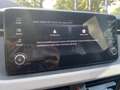 Skoda Kamiq 1.0 TSI Business Edition | CRUISE CONTROL | CLIMAT Grau - thumbnail 7