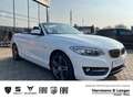 BMW 218 i Sport Line Navigation, Sitzheizung, Bi-Xenon bijela - thumbnail 1