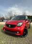 smart forFour 0.9 t Passion 90cv twinamic my18 Rosso - thumbnail 1