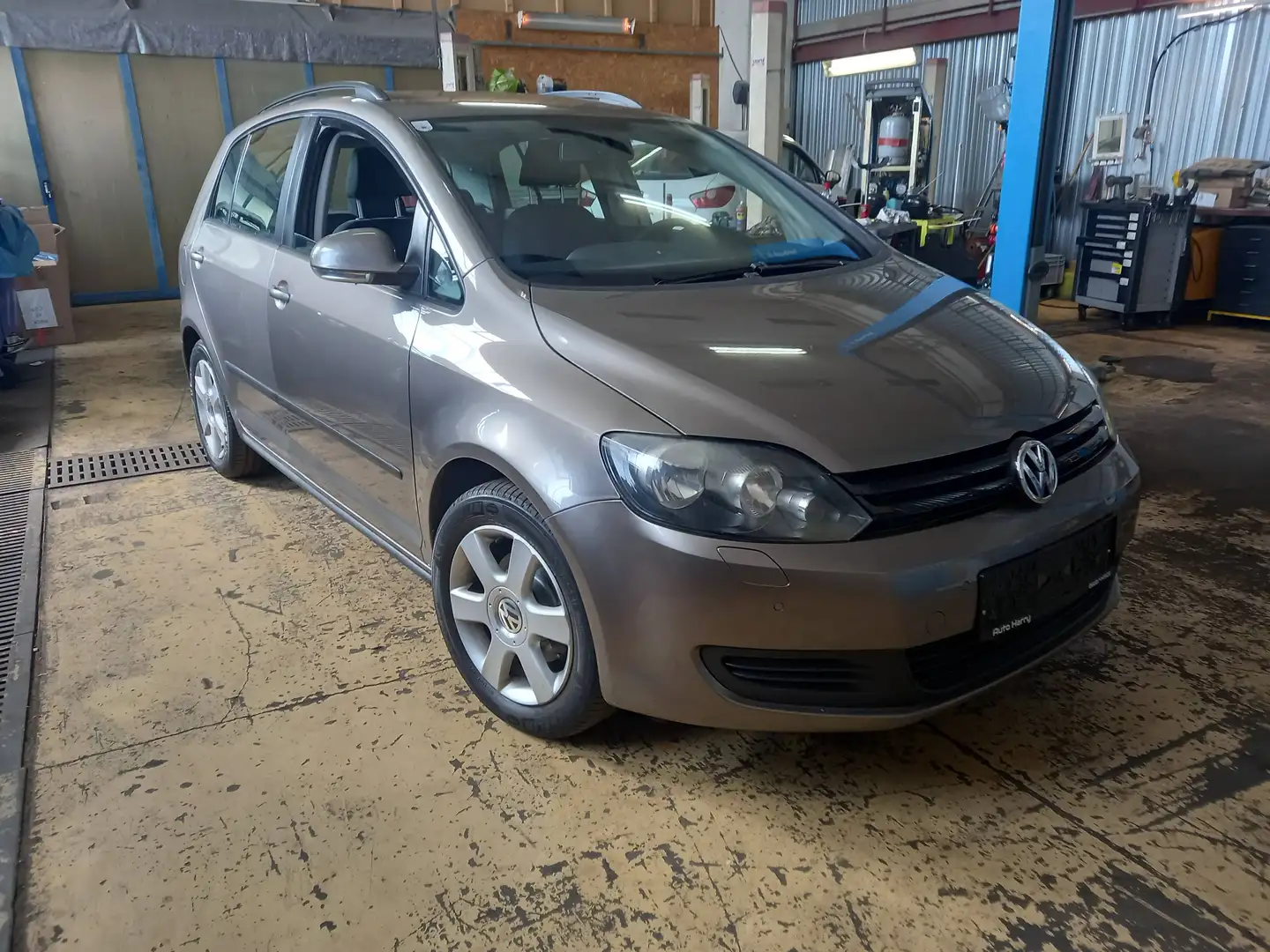 Volkswagen Golf Plus Golf Plus Trendline 1,6 TDI DPF Trendline Bronze - 2