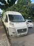 Fiat Ducato L4H3 DPF 250.6A2.0 Blanc - thumbnail 3