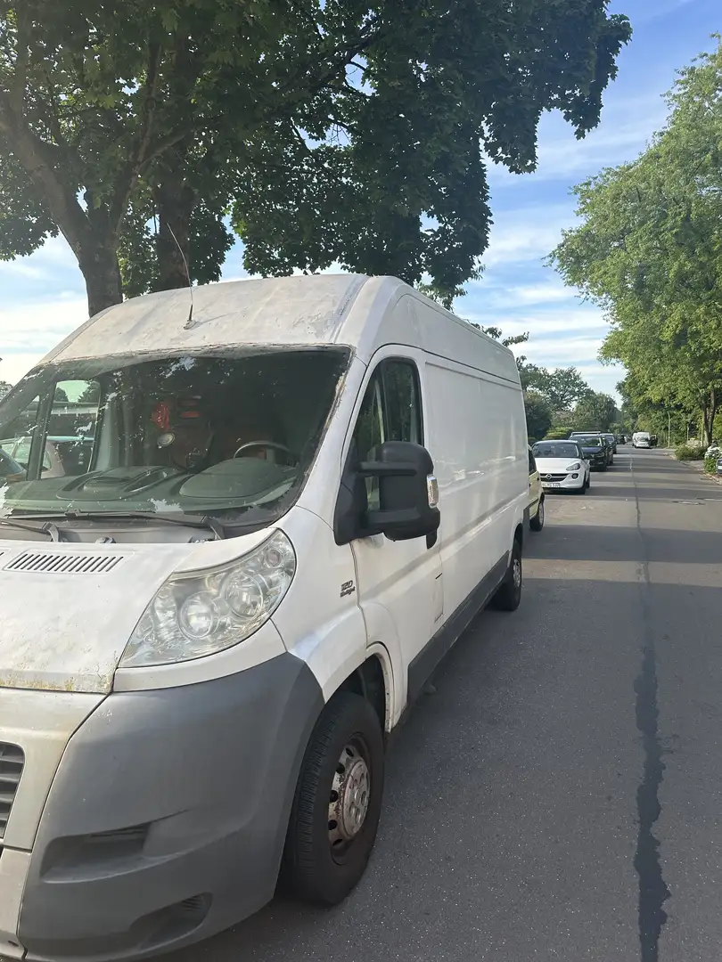 Fiat Ducato L4H3 DPF 250.6A2.0 Blanc - 2