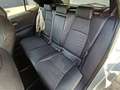 Toyota Corolla 2.0 Hybrid Lounge Gris - thumbnail 12