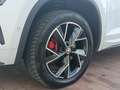 Skoda Kodiaq RS 2,0 BiTDI 4x4*ACC*DCC*360 KAMERA*CANTON*KREDIT Weiß - thumbnail 10