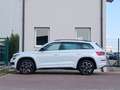 Skoda Kodiaq RS 2,0 BiTDI 4x4*ACC*DCC*360 KAMERA*CANTON*KREDIT Weiß - thumbnail 5