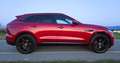 Jaguar F-Pace D200 S AWD Diesel Mild-Hybrid Facelift Rot - thumbnail 2