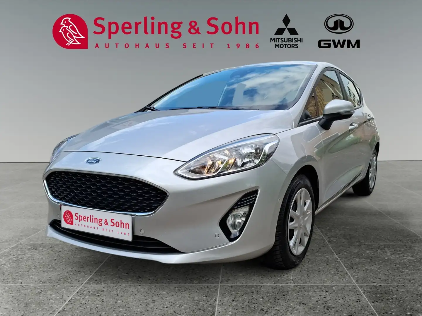 Ford Fiesta Cool Argento - 1