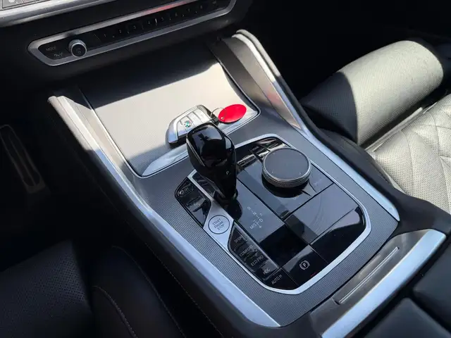 BMW X6 view 10