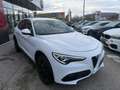 Alfa Romeo Stelvio Super 2,0 ATX AWD Weiß - thumbnail 6