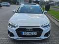 Audi A4 Audi*A4*Avant*40*TDI*S-line*Sthz*Kamera*AHK*Pano* Weiß - thumbnail 10